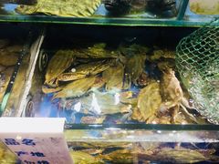 -香满居张记小厨私房菜(青岛站店)