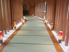 -重庆南山海昌汤都