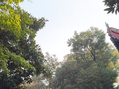 -南岳大庙