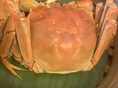 -新天世纪中餐厅
