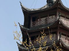 -观潮胜地公园