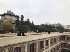 -武汉大学-樱园