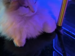 -暗楼·剧本杀·桌游