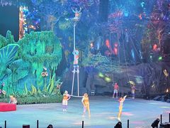 -广州长隆国际大马戏