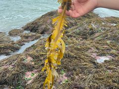 -嵊泗基湖沙滩