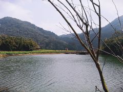 -广州市石门国家森林公园