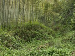 -仙岛湖旅游风景区