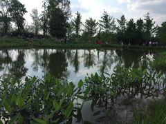 -白鹭湾湿地公园