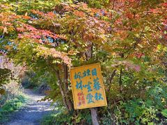 -龙道沟景区