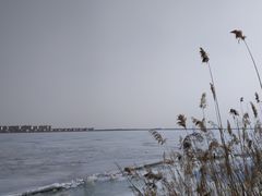 -包头南海湿地景区