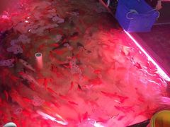 -三圣花乡旅游区