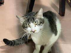 -朱儿面庄(洋河三路店)