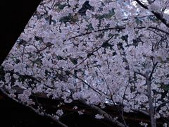 -椒馋小馆(绿源路店)