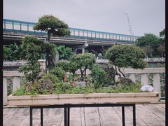 -资政大夫祠