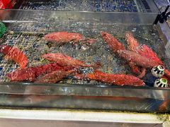 -君德澜酒家·创意粤菜(金山谷店)