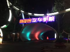 -枫花园汽车电影院(朝阳公园店)