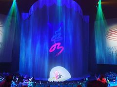 -水秀国际大剧院