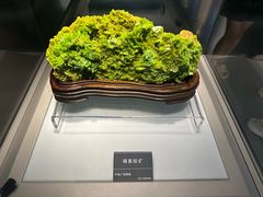 -安徽省地质博物馆
