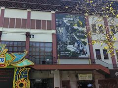 -西双版纳原始森林公园