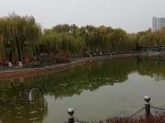 -康庄公园