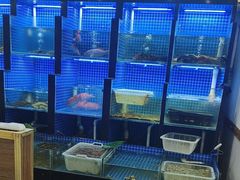 -金龙·打边炉(武进路店)