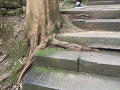 -凤栖山