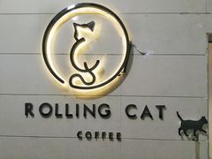 -滚猫咖啡·猫咖·猫友好撸猫(未来城店)