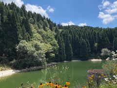 -武陵山森林公园