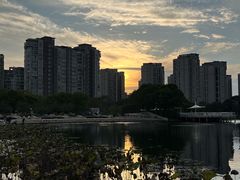 -新江湾城公园