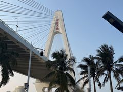 -万绿园