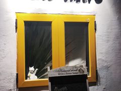 -About Bistro關於·泰式家庭料理