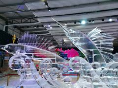 -宁波冰雪大世界(北仑区)