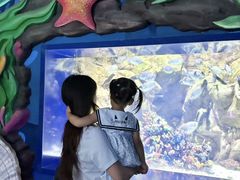 -南昌融创海世界