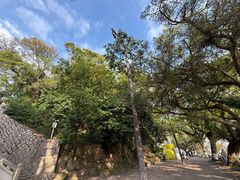 -江心屿景区