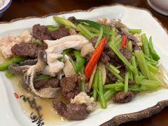-杨记新泉美食