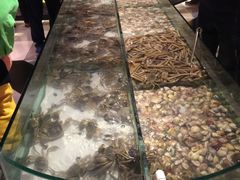 -星伦多自助料理(华润万象城店)