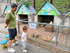 -北京鹿世界主题园