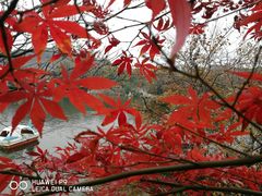 -白马涧龙池景区