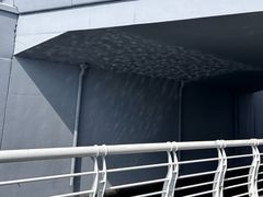 -桤木河湿地公园