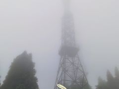 -武陵山森林公园