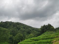 -十里琅珰