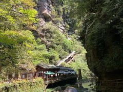 -中国大熊猫保护研究中心雅安碧峰峡基地