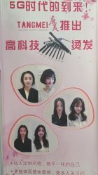 -唐美