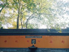 -灵谷景区
