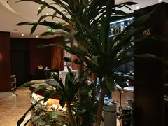 -上海银星皇冠假日酒店