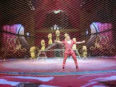 -珠海横琴长隆《卡卡虎奇遇记》