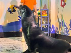 -太平洋海底世界