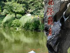 -西湖外事游船(花港观鱼码头)