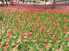 -长春公园(普阳街道)