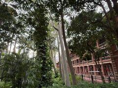 -厦门大学(思明校区)